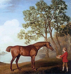 George Stubbs, Pumpkin with a Stable Lad